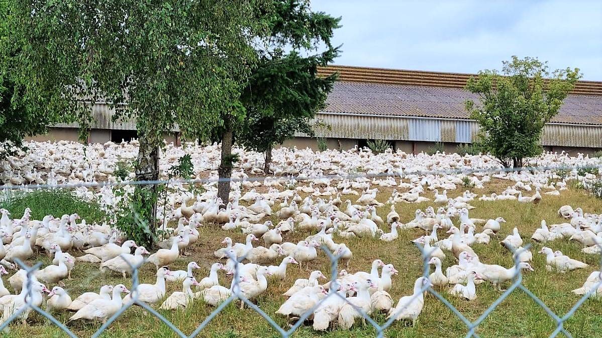 Les prochaines ventes  la ferme : -	Samedi 15 Mars 2025 -	Samedi 28 Juin 2025 -	Samedi 22 Novembre 2025